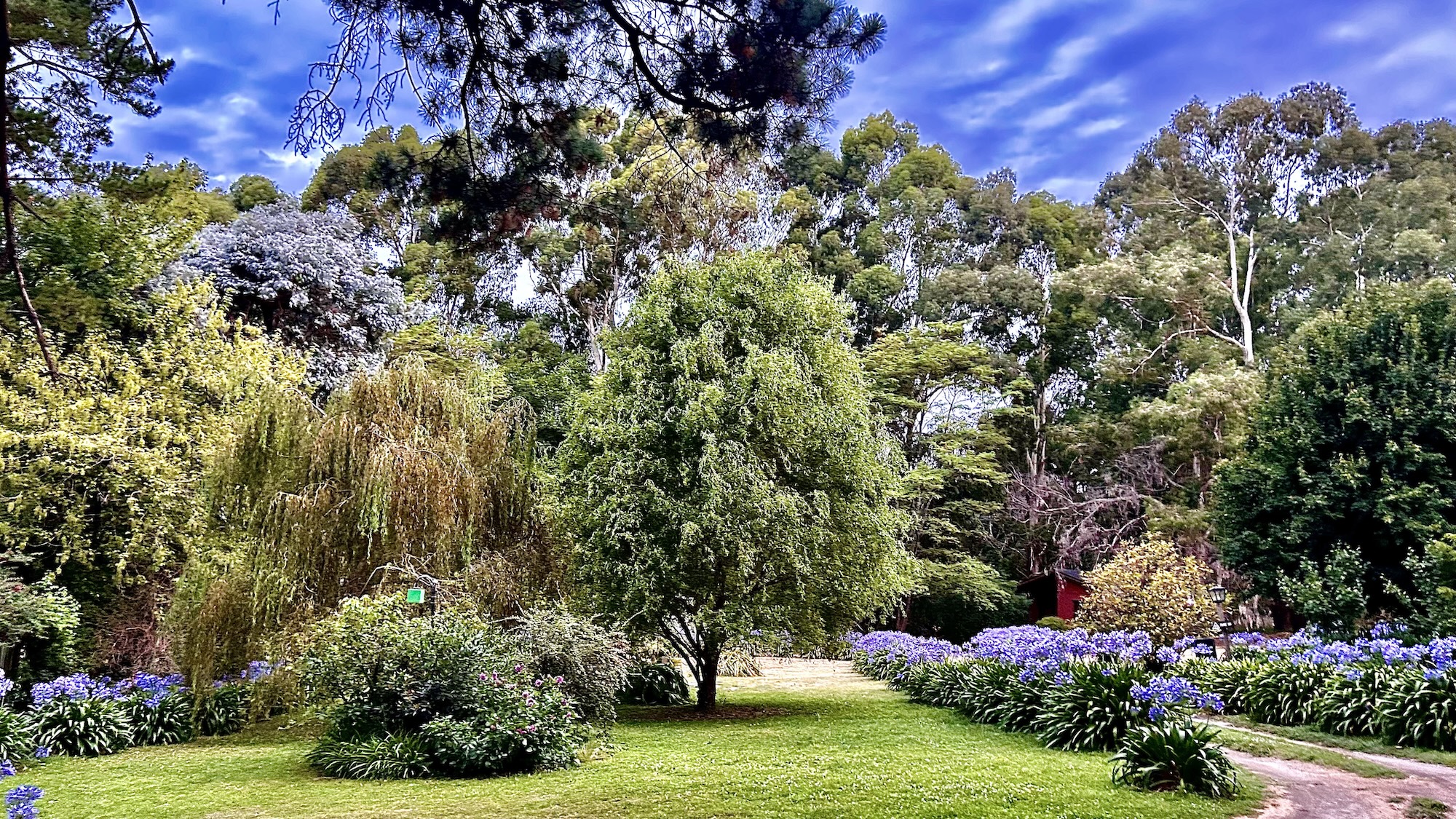 Entrada de Posada del Viento entre los árboles de Tandil